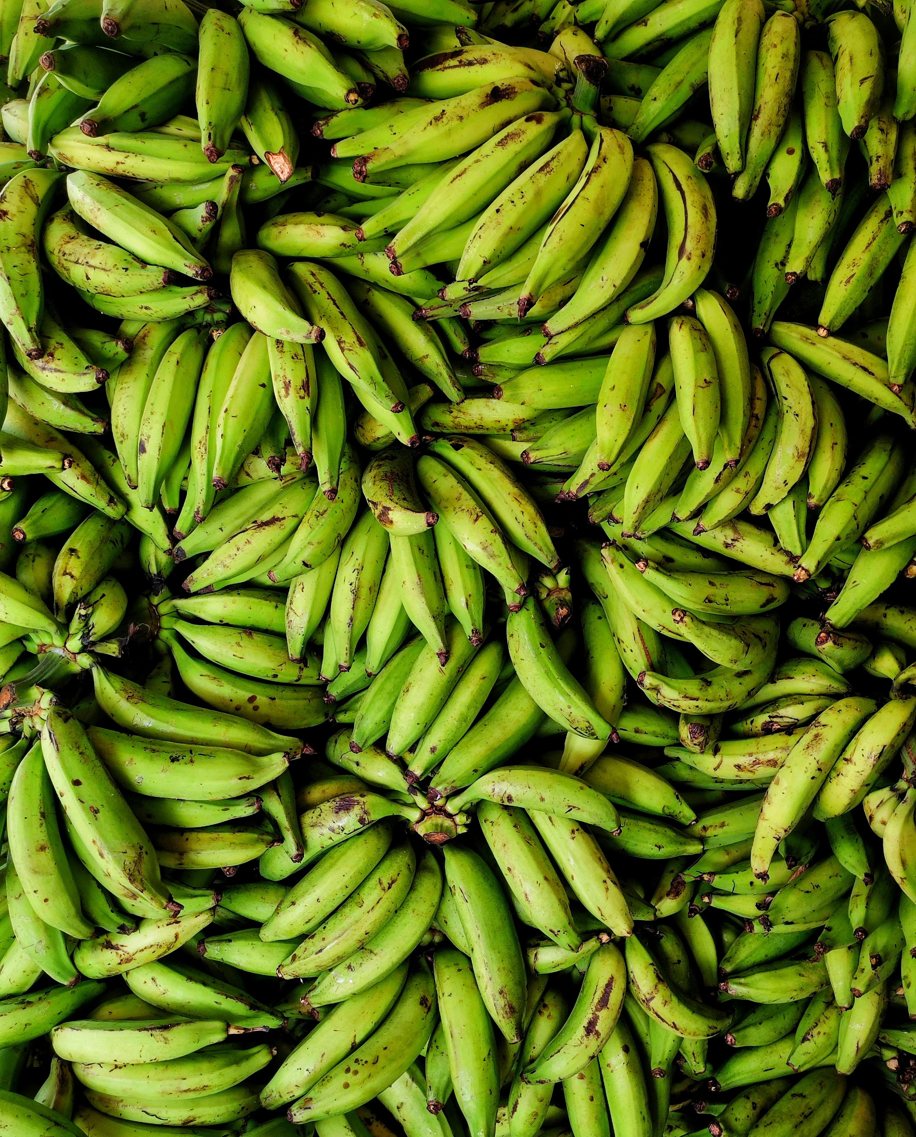 Baby Banana