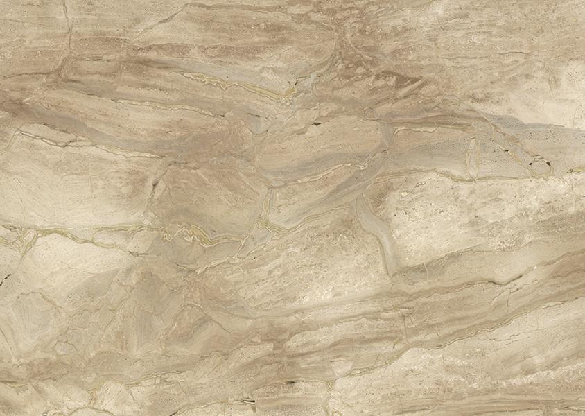 Elegant Beige
