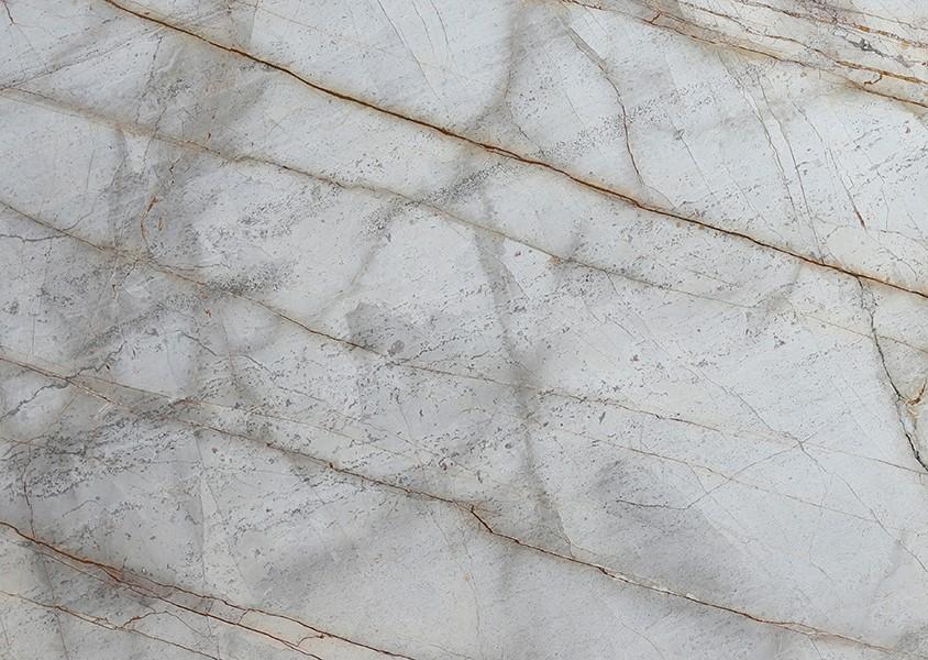 Silver Roots