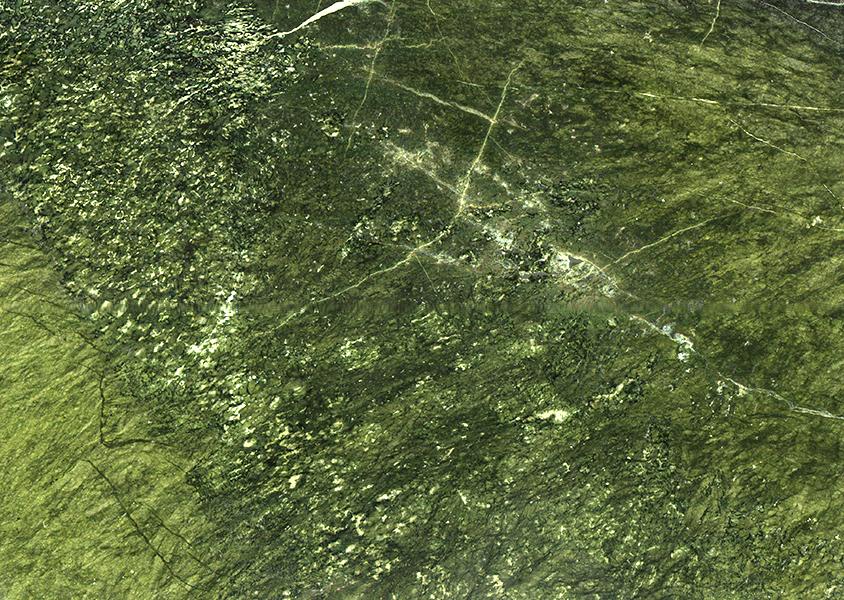 Verde Ming